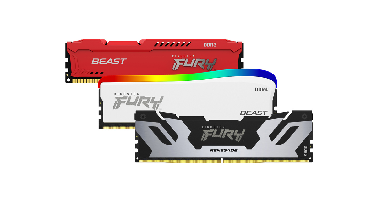 Kingston Technology 100M Modules.